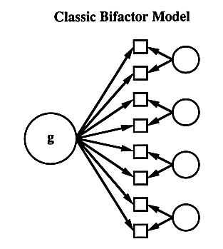 Bifactor Model