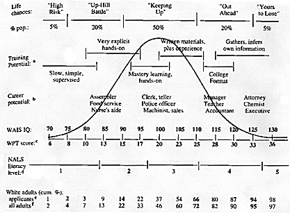 intelligence quotient bell curve. Bell Curve