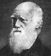 Darwin